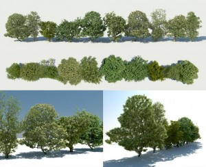 treesketch_testKizo - Ronen Bekerman - 3D Architectural Visualization ...